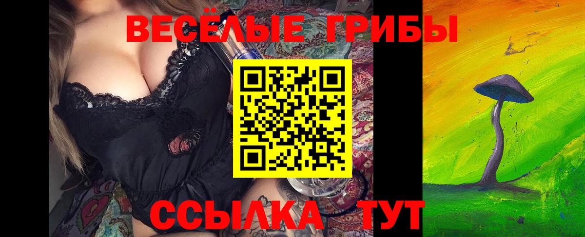 Галлюциногенные грибы мицелий  Вход с VPN  Чита 