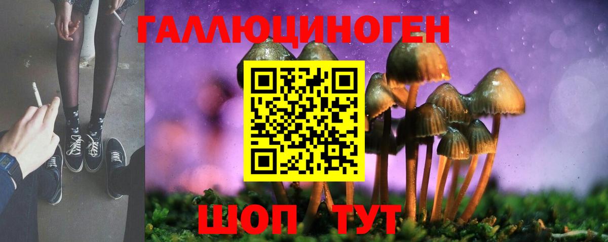Галлюциногенные грибы Cubensis Чита
